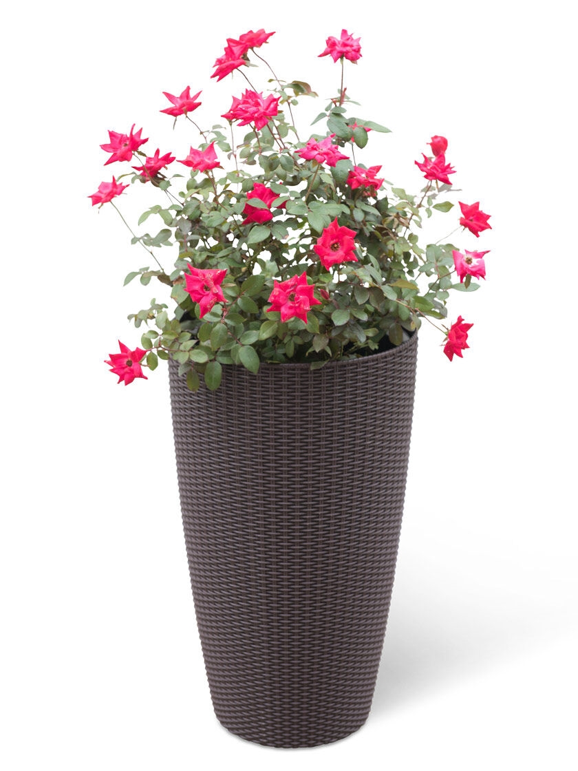 Weave Self-Watering Round Tall Planter, 12-1/2"