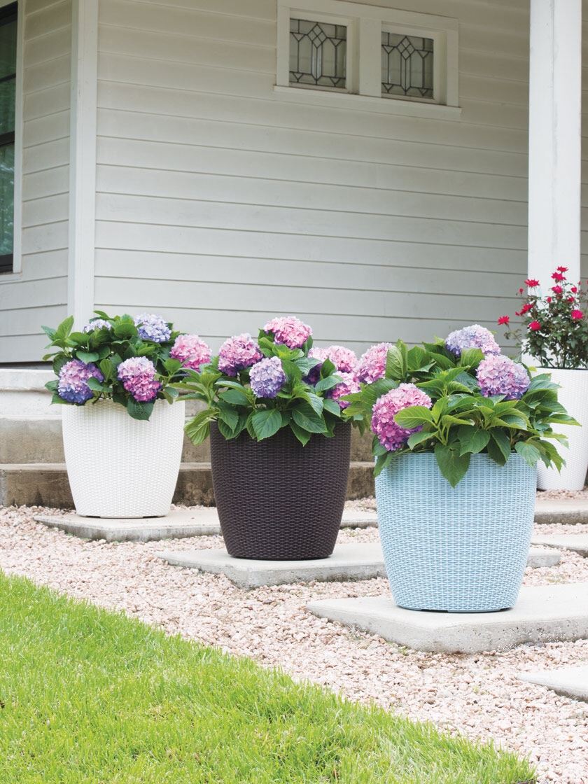 Weave Self-Watering Round Planter, 17" White