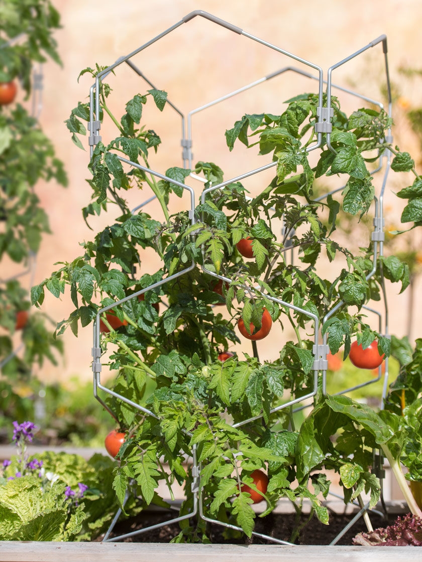 Gardener's Vertex Lifetime Tomato Cage