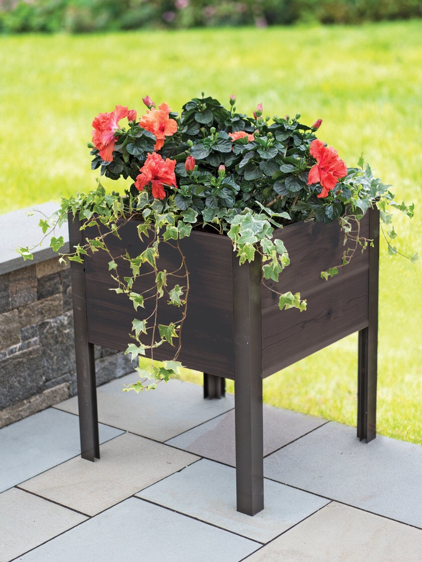 Eco-Stained Elevated Cedar Planter Box, 2' x 2'