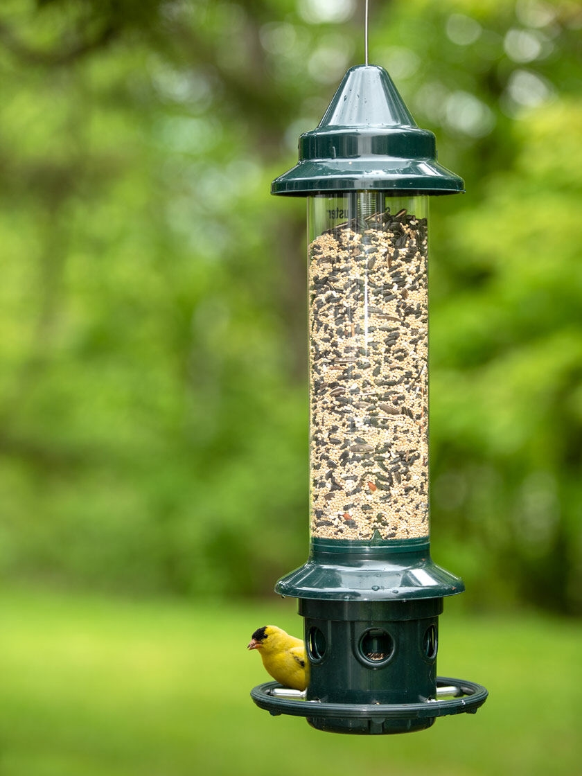 Brome ® Squirrel Buster Plus™ Bird Feeder