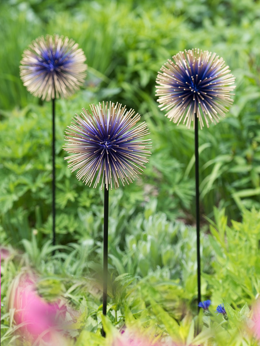 Allium Starburst Stakes