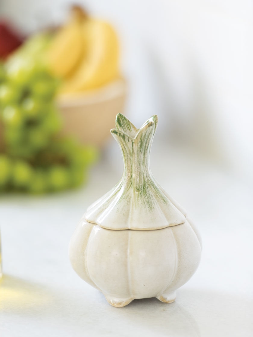 Garlic Fruit Fly Trap