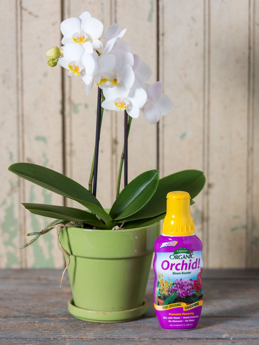 Espoma Orchid! Plant Food