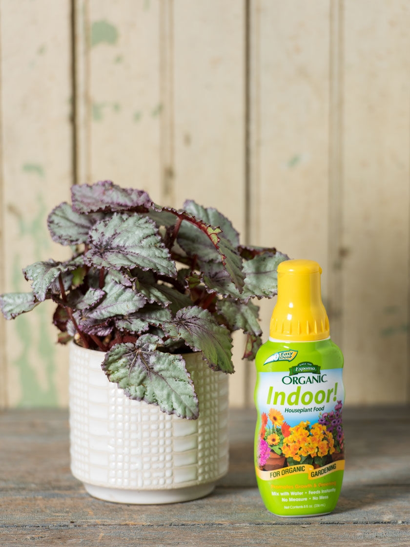 Espoma Indoor! Plant Food