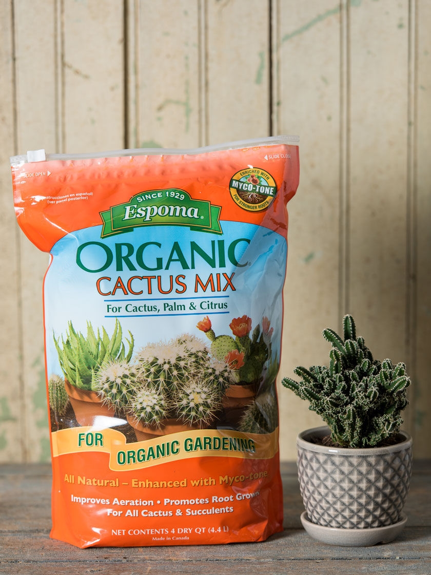 Espoma Cactus Potting Mix, 4 quart