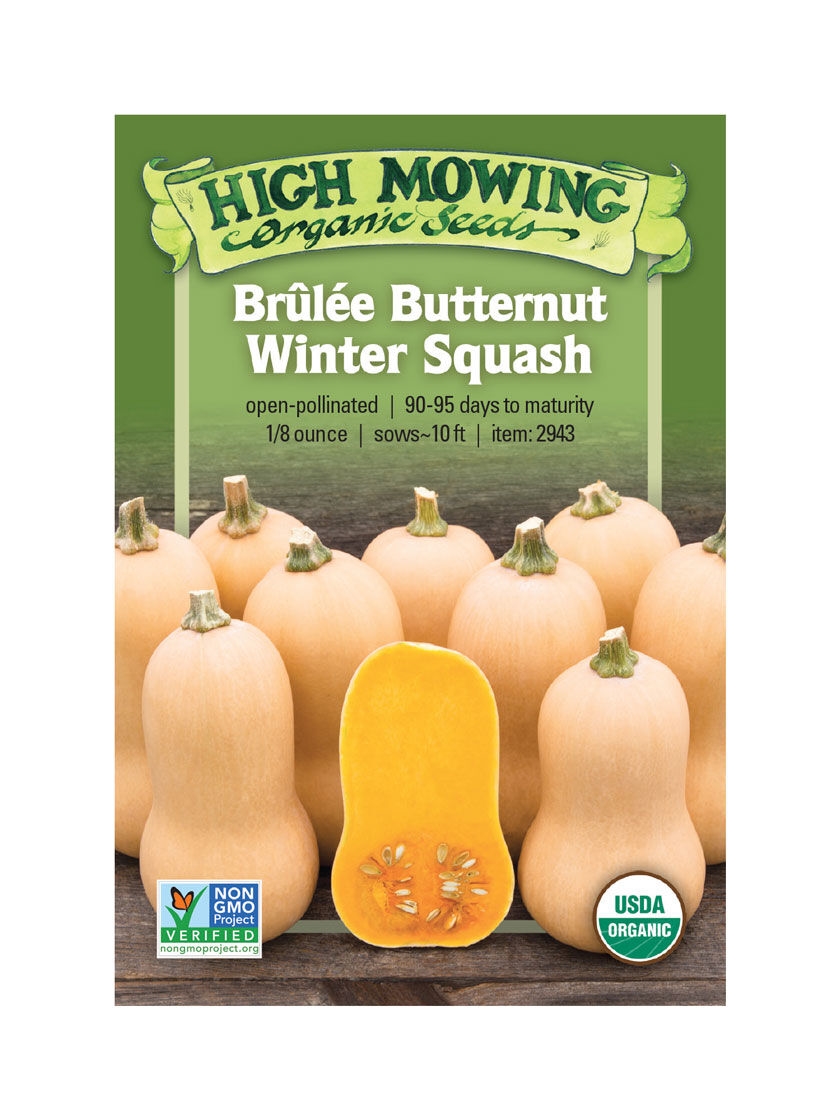 Brulee Butternut Squash Organic Seeds