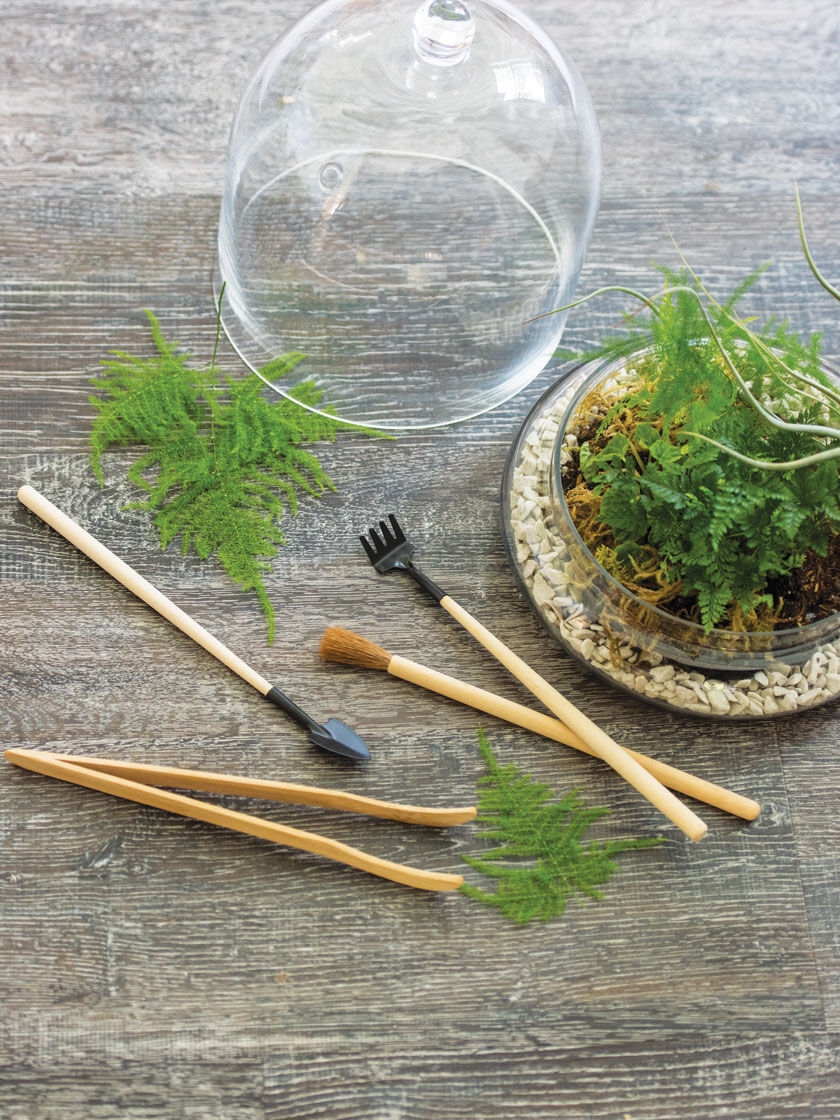 Terrarium Tools, Set of 4