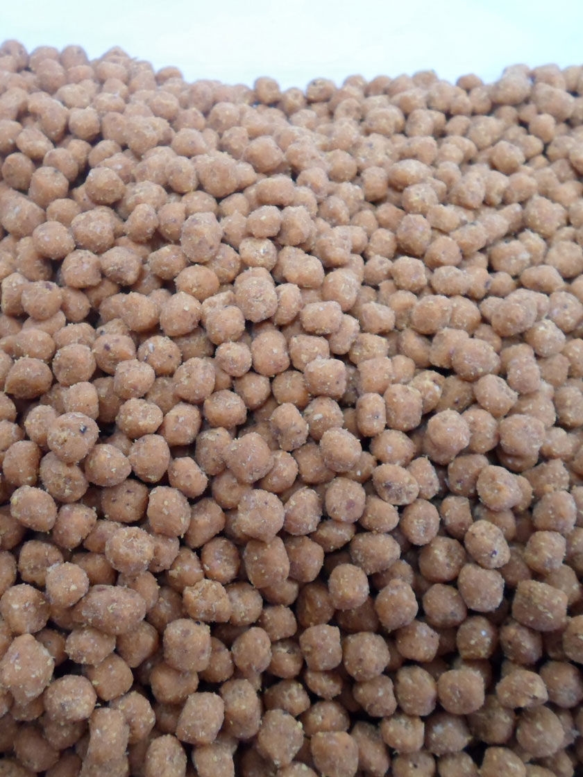 Birds Choice Hot Pepper Suet Nuggets, 5 lbs.