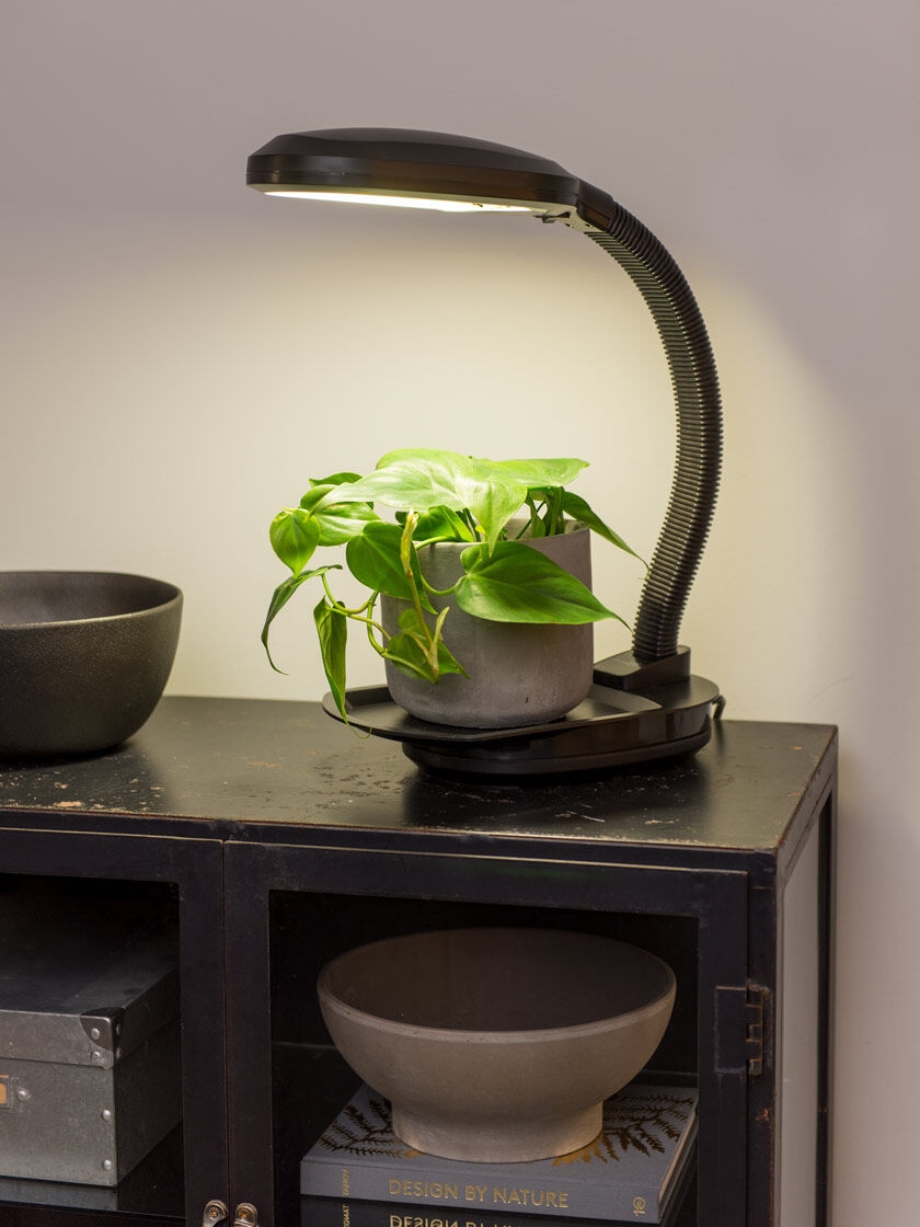 Desktop Grow Lights | Gardener's Supply