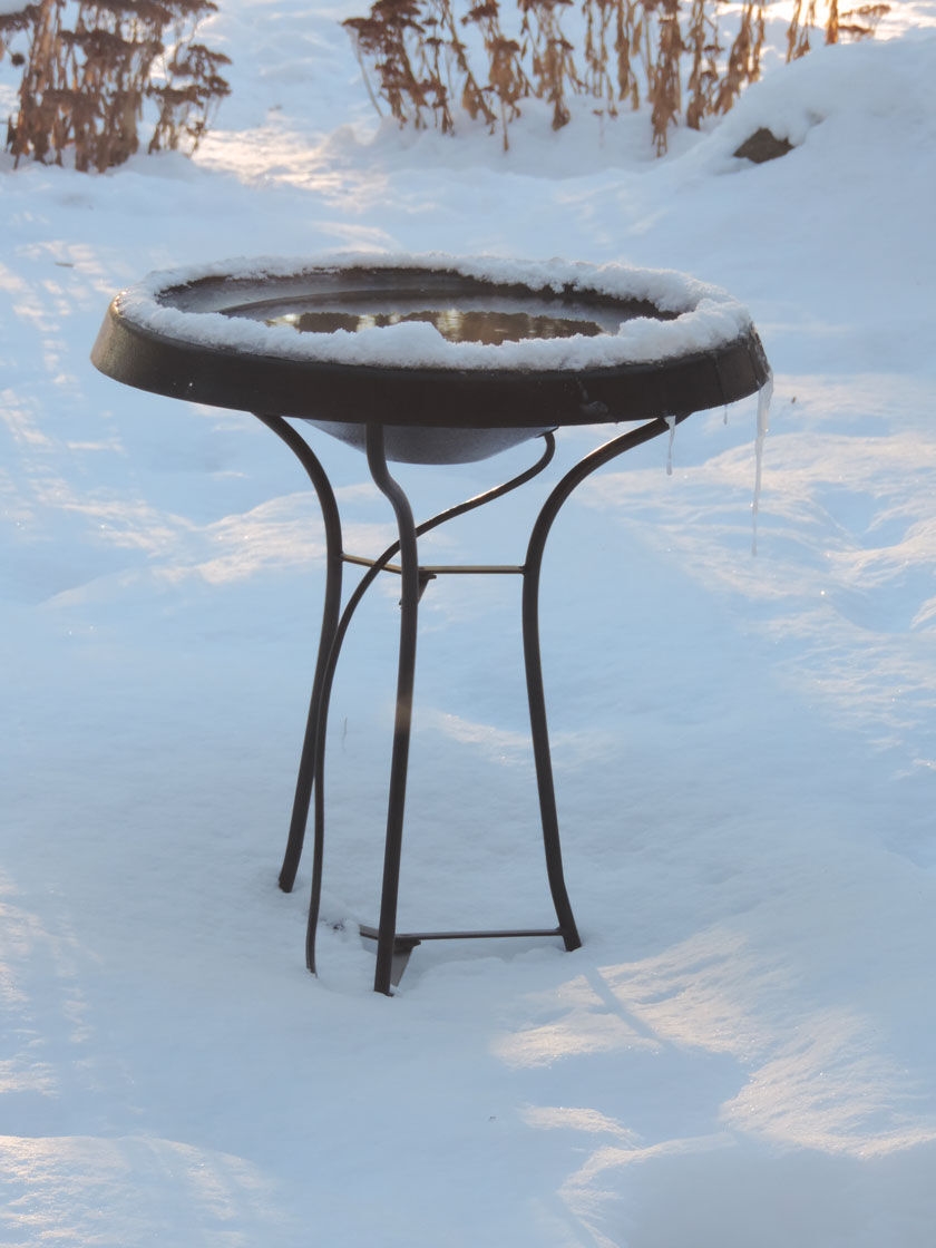 Birds Choice ®  Heated Birdbath with Three Legged Black Stand