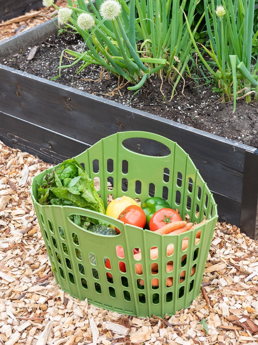 Vegetable Basket - Vegetable Basket With Cutting Tools Strain Wash