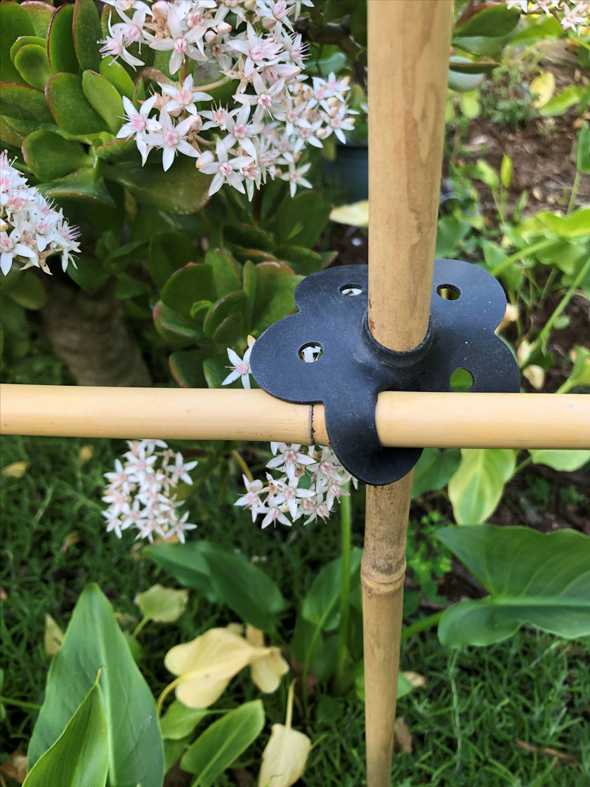 6 façon bambou canne Flexi Balle Connecteurs Fruit Cage Netting Plant Support