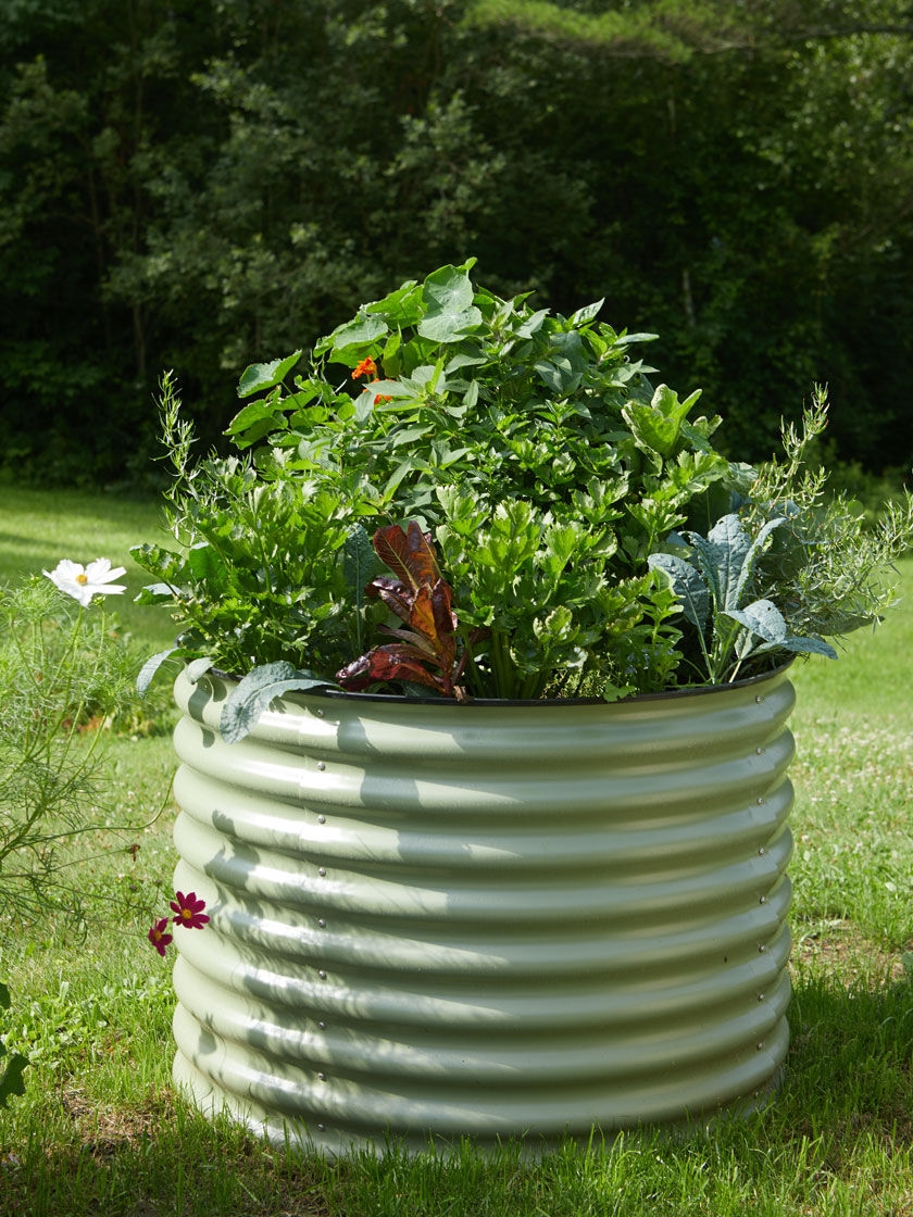 metal raised garden beds