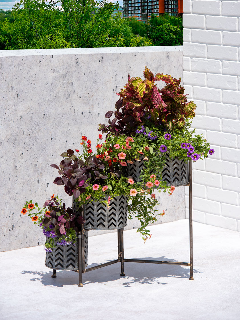 Galvanized Grow Bag Triple Planters with Stand