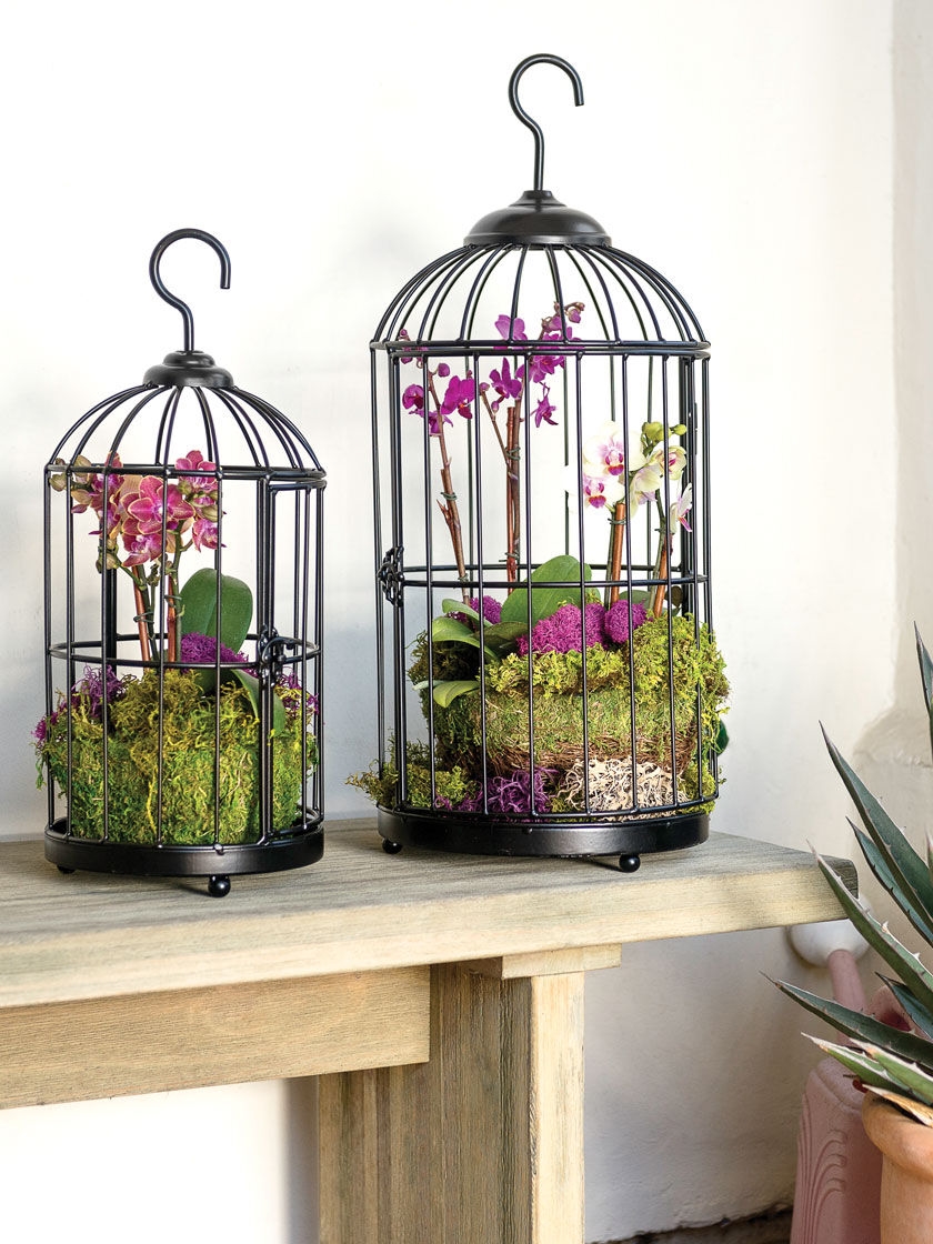 Hanging Birdcage Planter Set