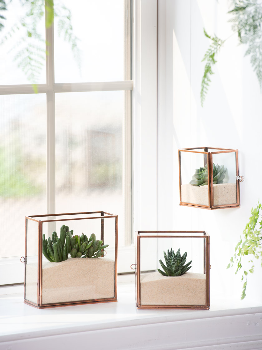 Copper and Glass Terrariums, Set of 3