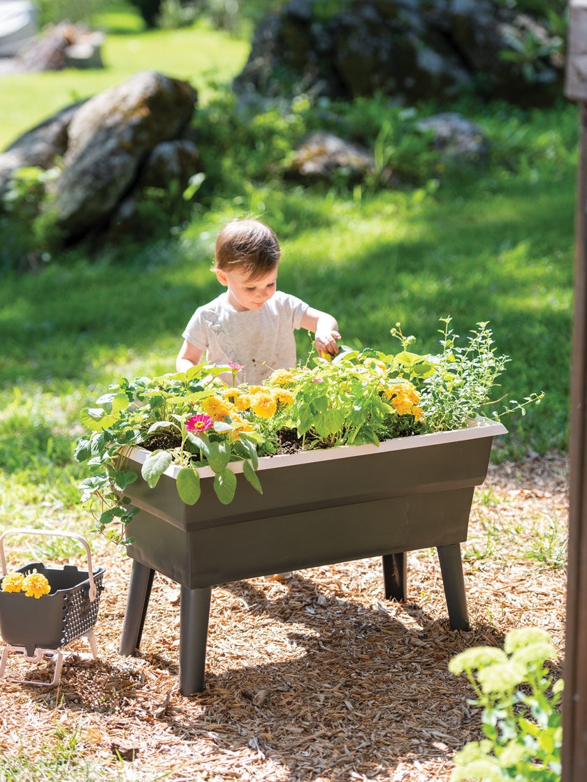 Calipso Kids Gardening Kit Self-Watering Planter | Gardeners.com