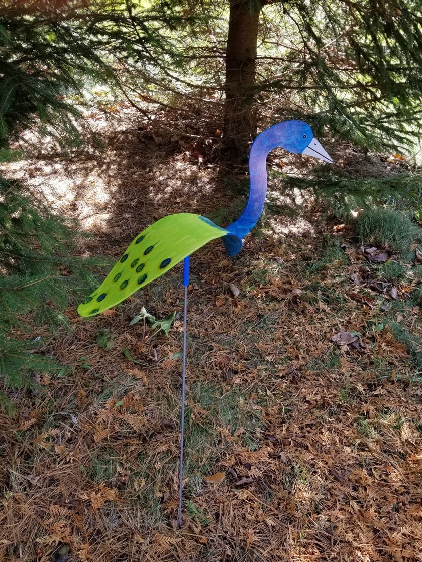 Florida Dancing Birds Peacock | Gardener's Supply