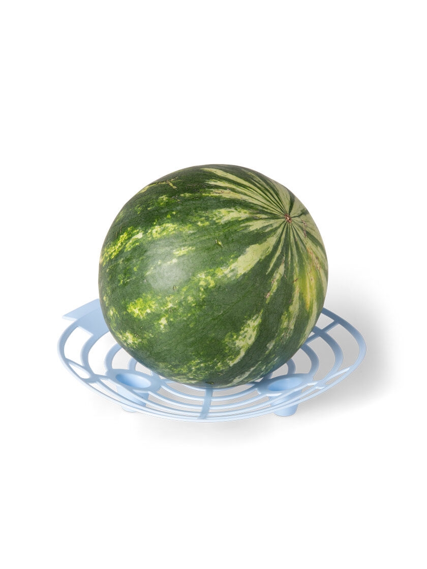 Melon and Squash Cradles, Set of 6