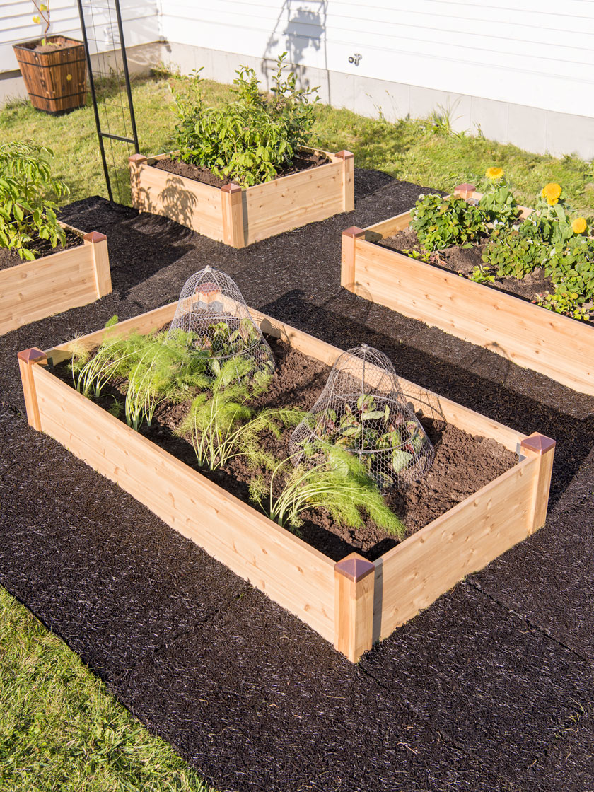 Copper Cap Raised Beds