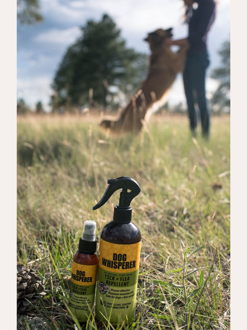Dog Whisperer Tick and Flea Repellent