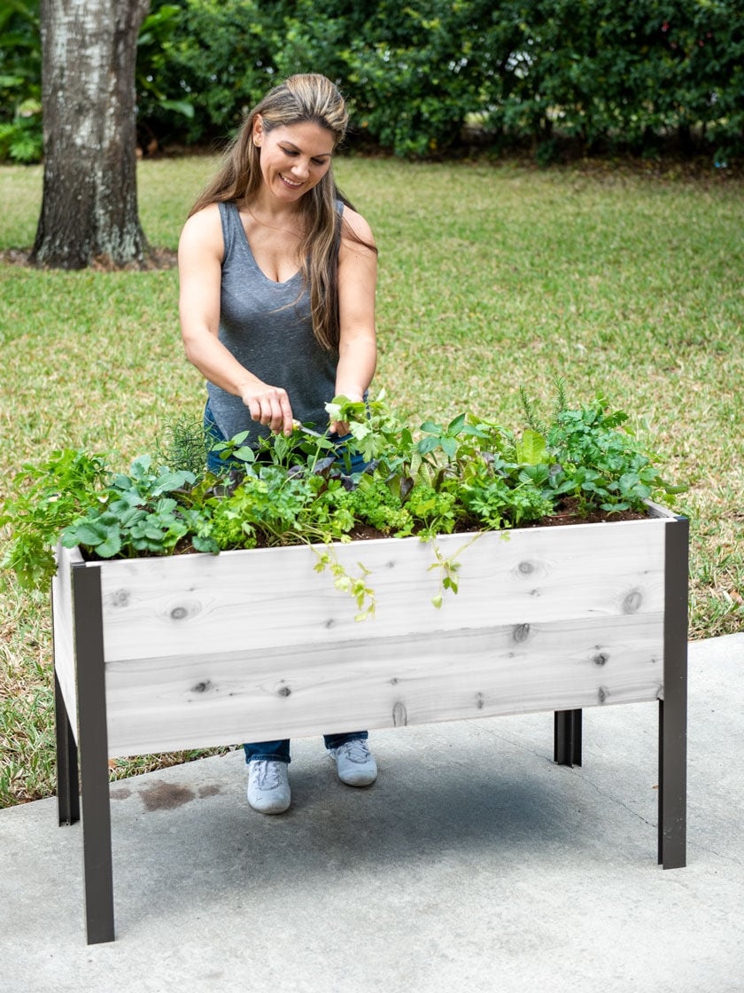 Self-Watering Eco-Stained Elevated Planter Box, 2' x 4'