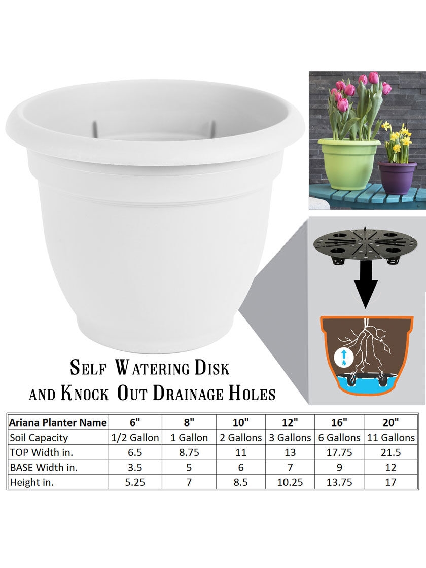 Bloem 8" Flamingo Ariana Pot 