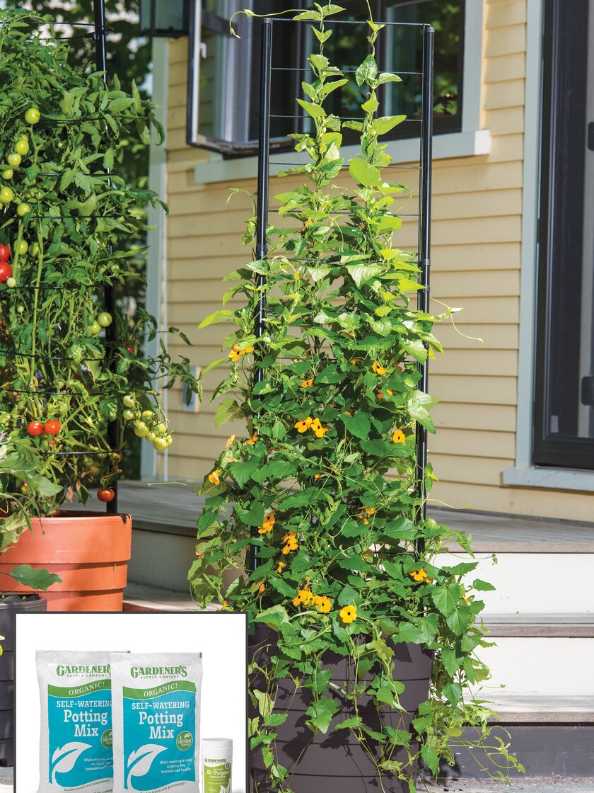 Gardener’s Victory Self-Watering Planter Garden with Vine Trellis