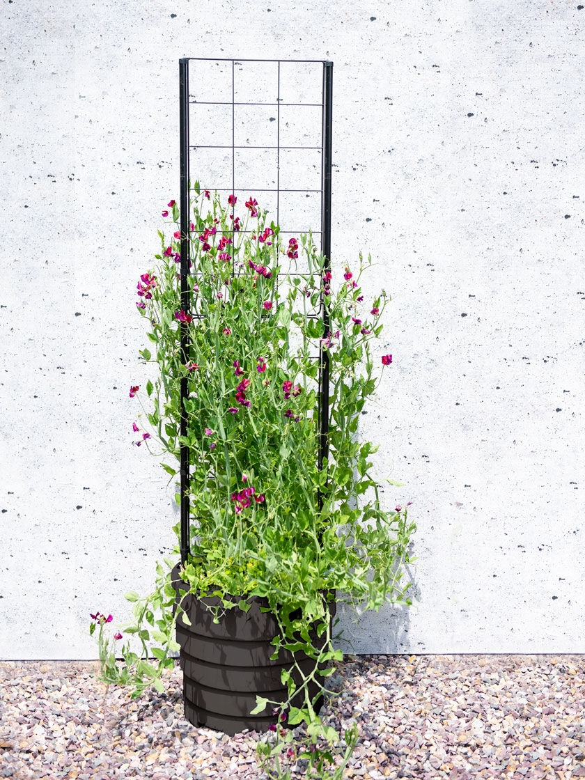Gardener’s Victory Self-Watering Planter with Vine Trellis