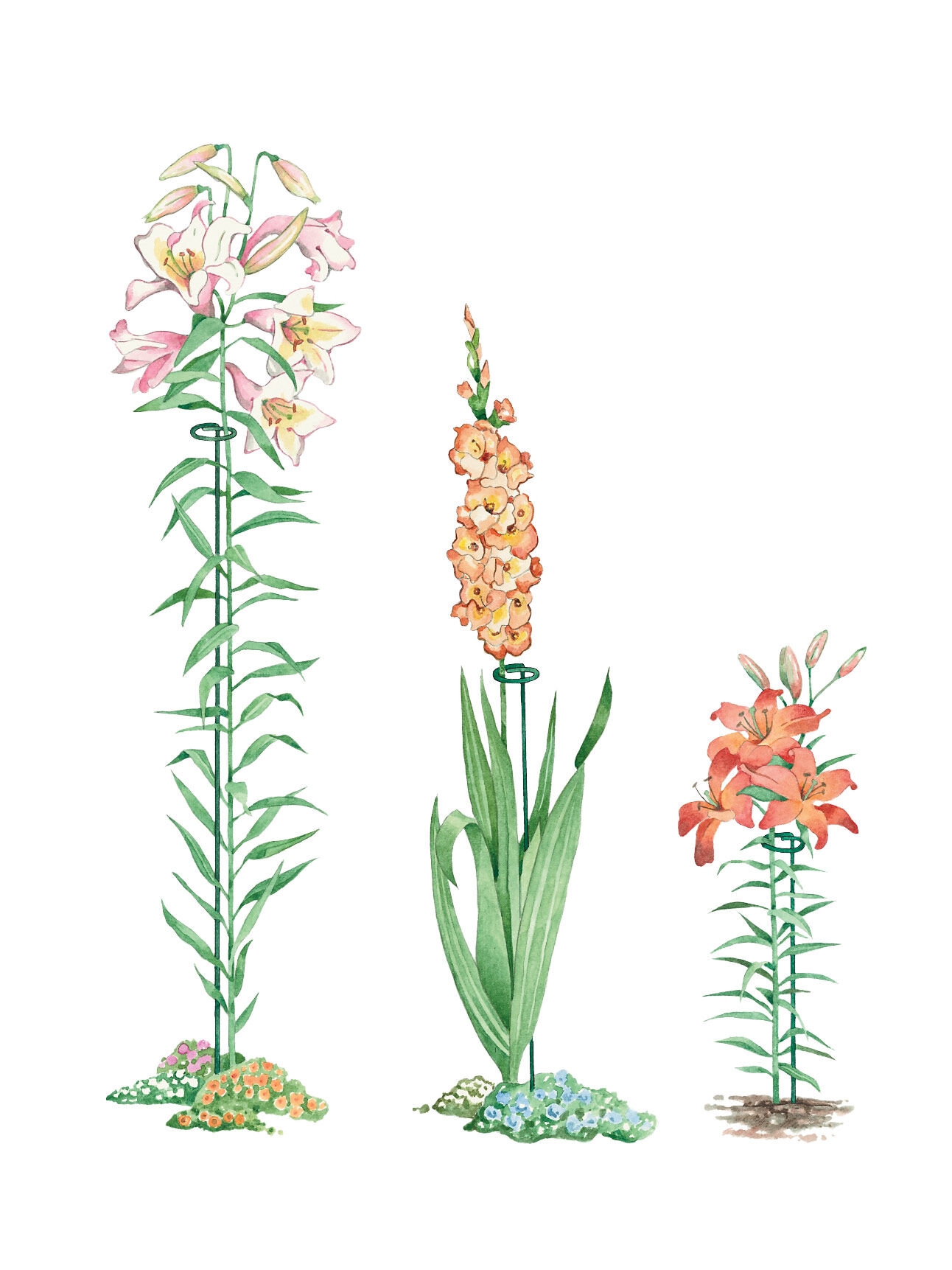 Single Stem Supports, Set of 3