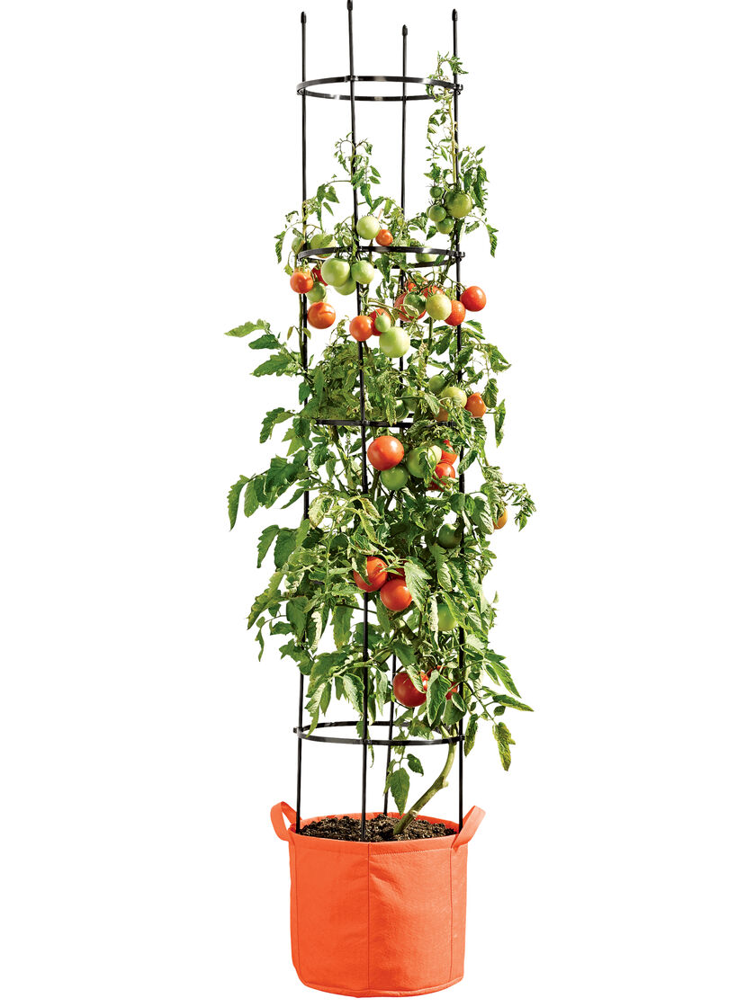 Gardener's Best® Tomato Grow Bag Set