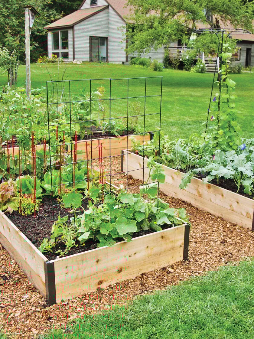 Deep Root Cedar Raised Beds 4 Ft Garden Cedar Raised Garden Beds, How To Make A Large Raised Garden Bed