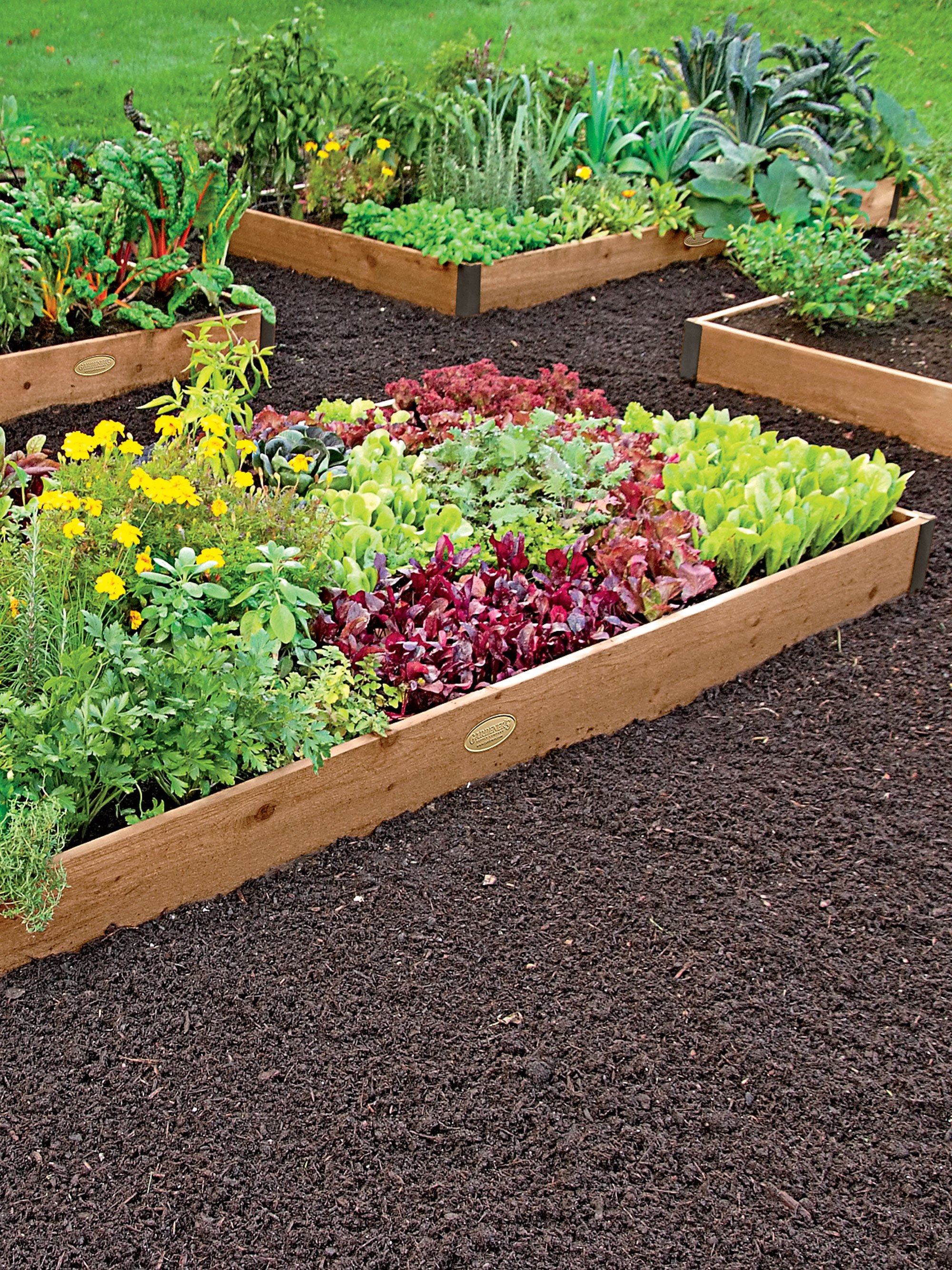 2' Raised Beds