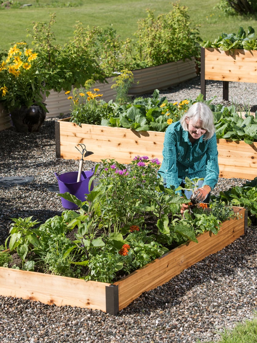 Raised Beds, 3’ Wide (7.25” D)