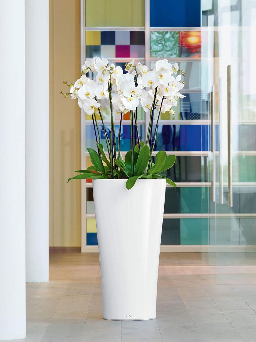 Lechuza 15560 Delta 20 Garden Indoor and Outdoor Use White High Gloss Self Watering Planter 40cm/15.75 