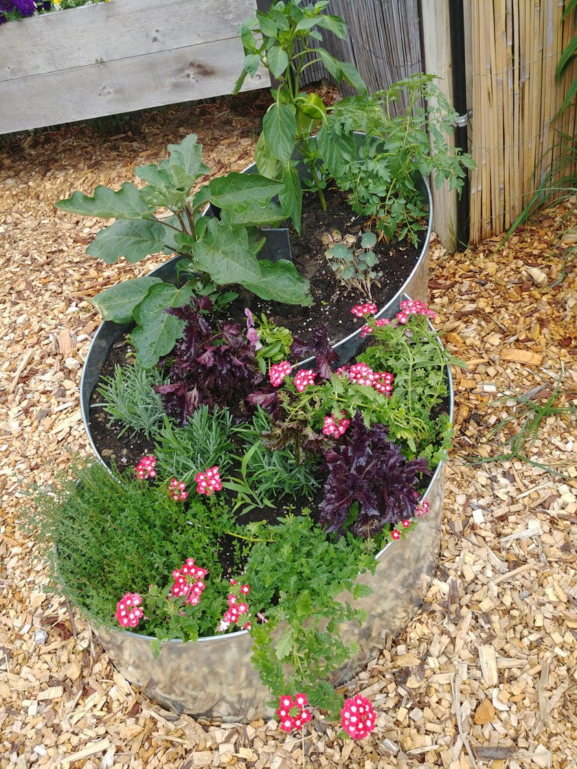 Galvanized Steel Raised Garden Planter Bed Planting Box Vegetable Flowers Seeds 