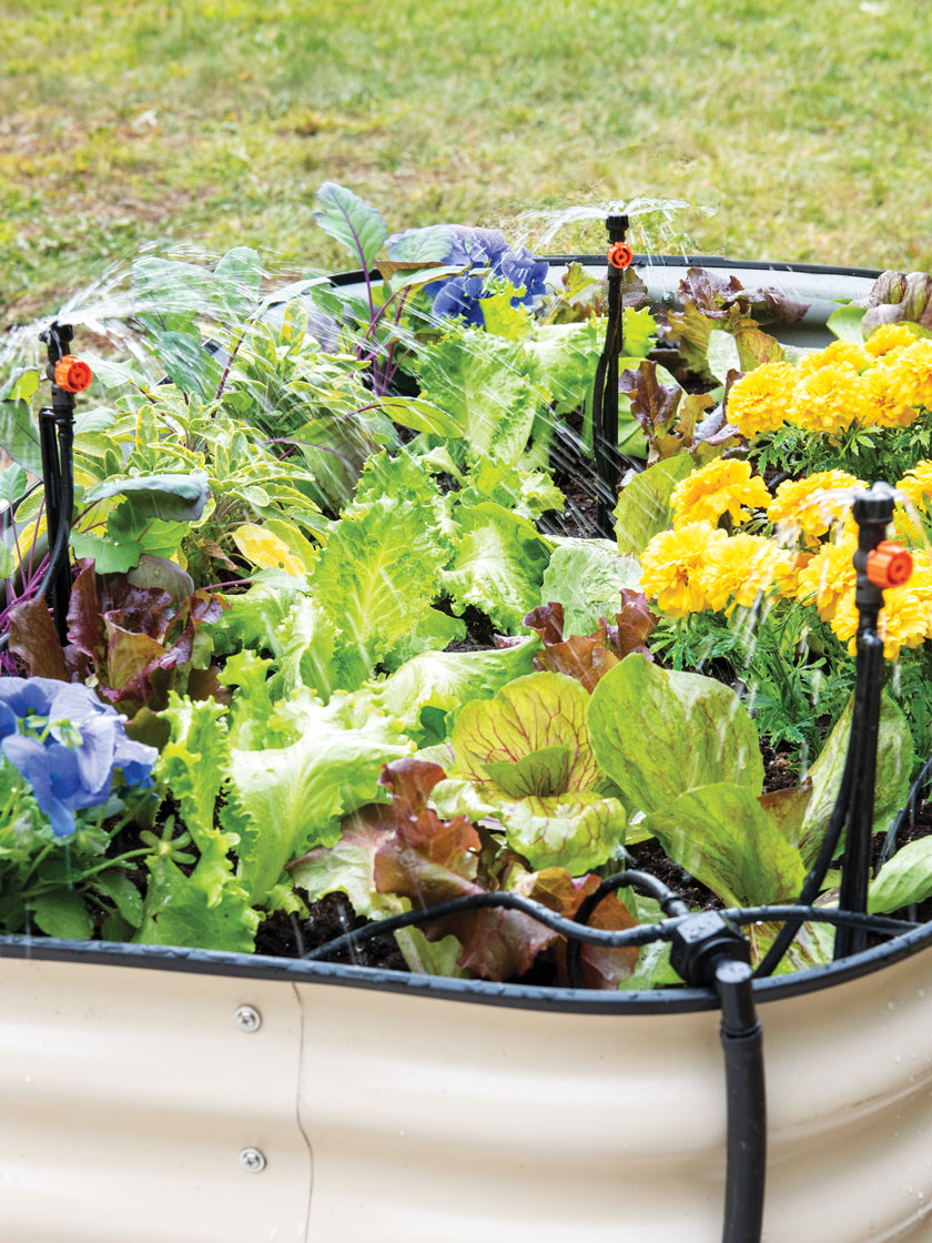 Raised Bed Bubblers Irrigation Kit
