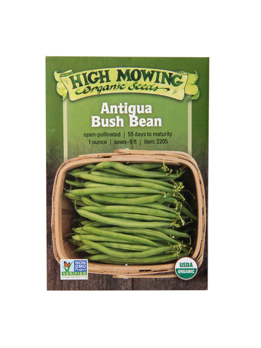 Antigua Bush Bean Organic Seeds