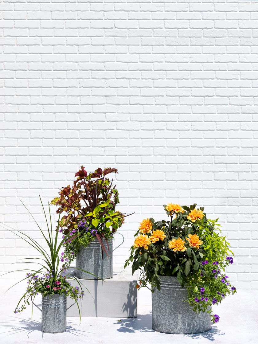 Details about   4x Mini Metal Flower Pots Garden Bucket Pail Planter Favours Various Colors Home 