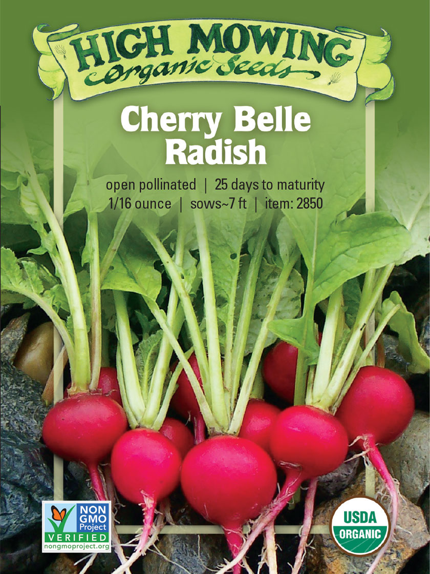 Cherry Belle Radish Organic Seeds