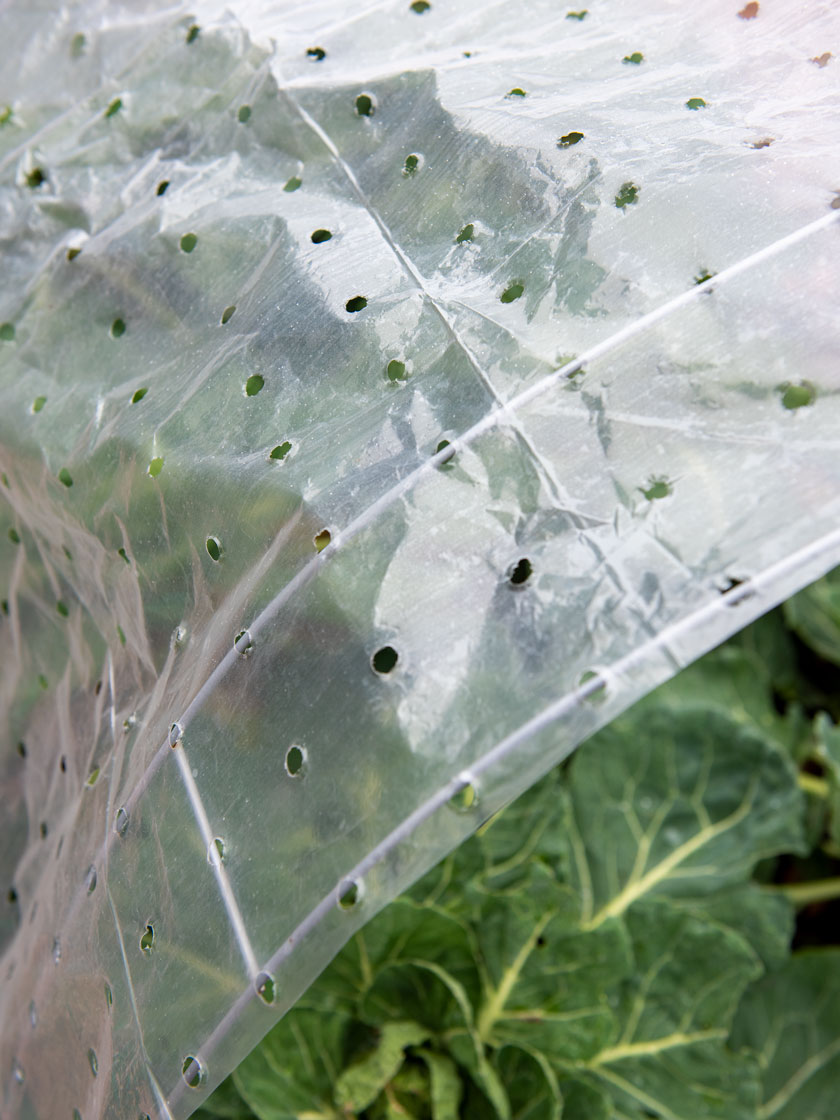 Ventilated Row Cover, 6.5' x 32.5'