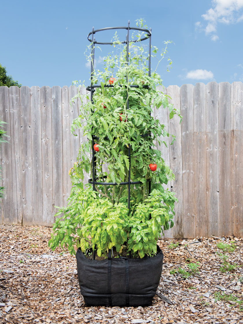 Titan Tomato Self-Watering Grow Bag & Trellis
