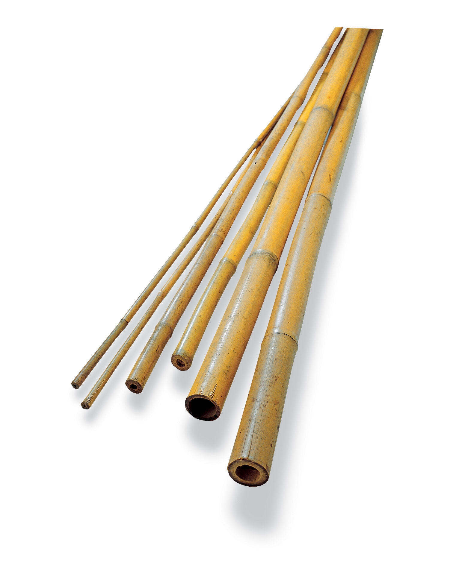 Strong Bamboo Cane Plant Ties Vegetable Support Sticks Poles 2,3,4,5,6 & 7 Feets 