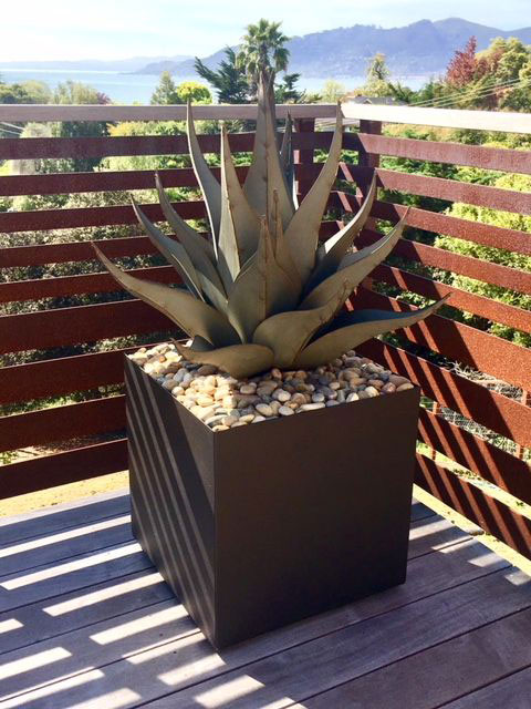 Desert Steel Sharkskin Agave Sculpture Desert Steel Sharkskin Agave Sculpture