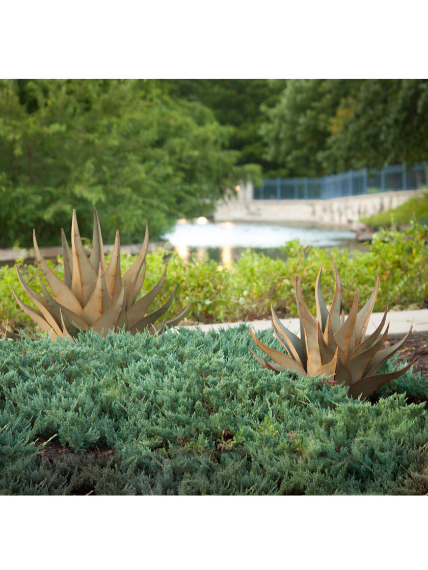 Desert Steel Sharkskin Agave Sculpture Desert Steel Sharkskin Agave Sculpture