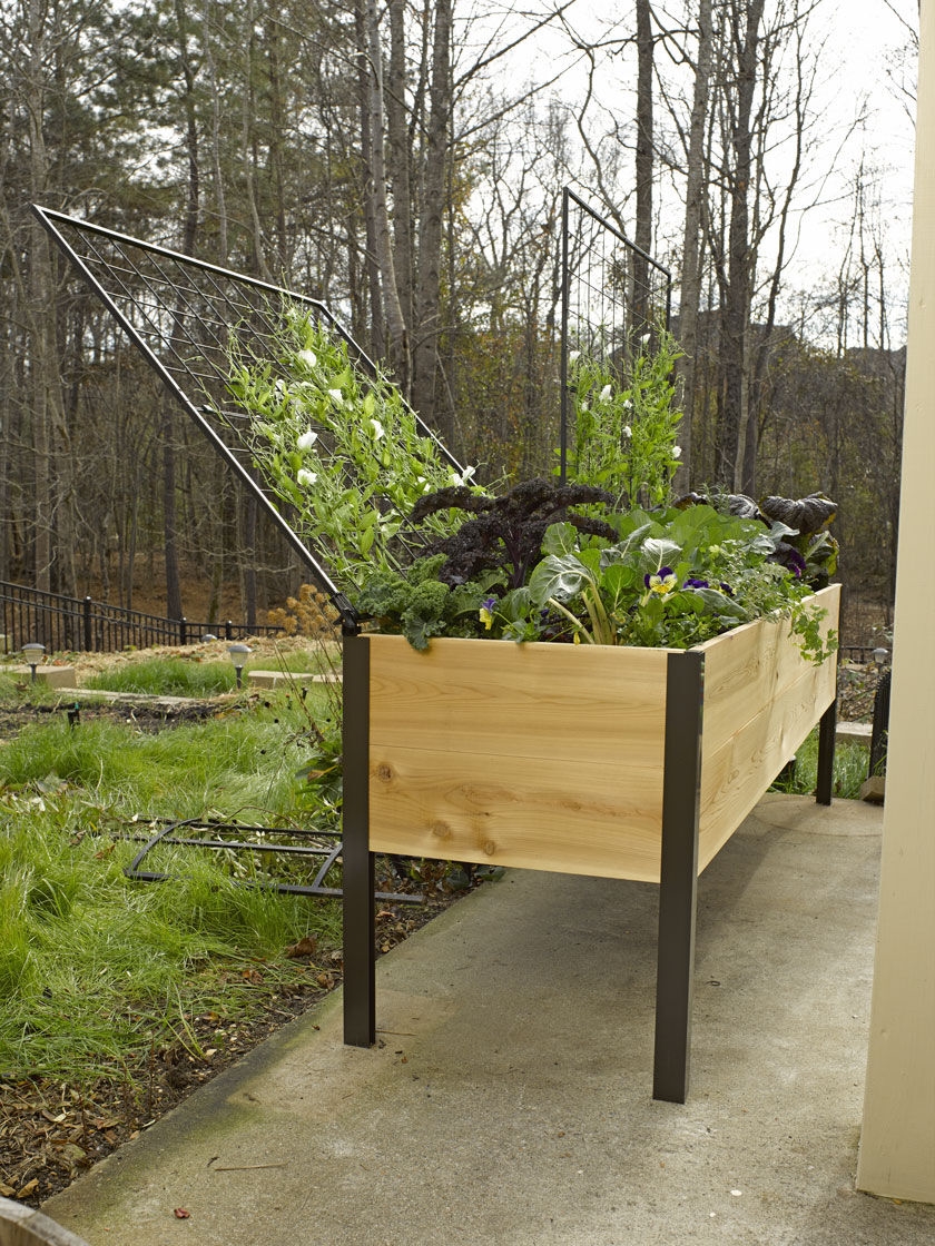 Outdoor Garden Raised Bed w/ Trellis Planter Box Kit Grow Flower Vegetable Stand 