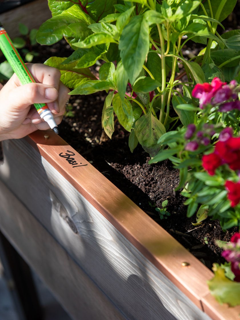 Re-Markable Raised Bed Trim