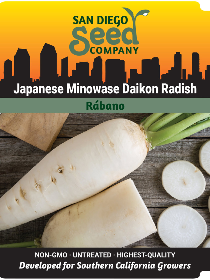 Japanese Minowase Daikon Radish Seeds