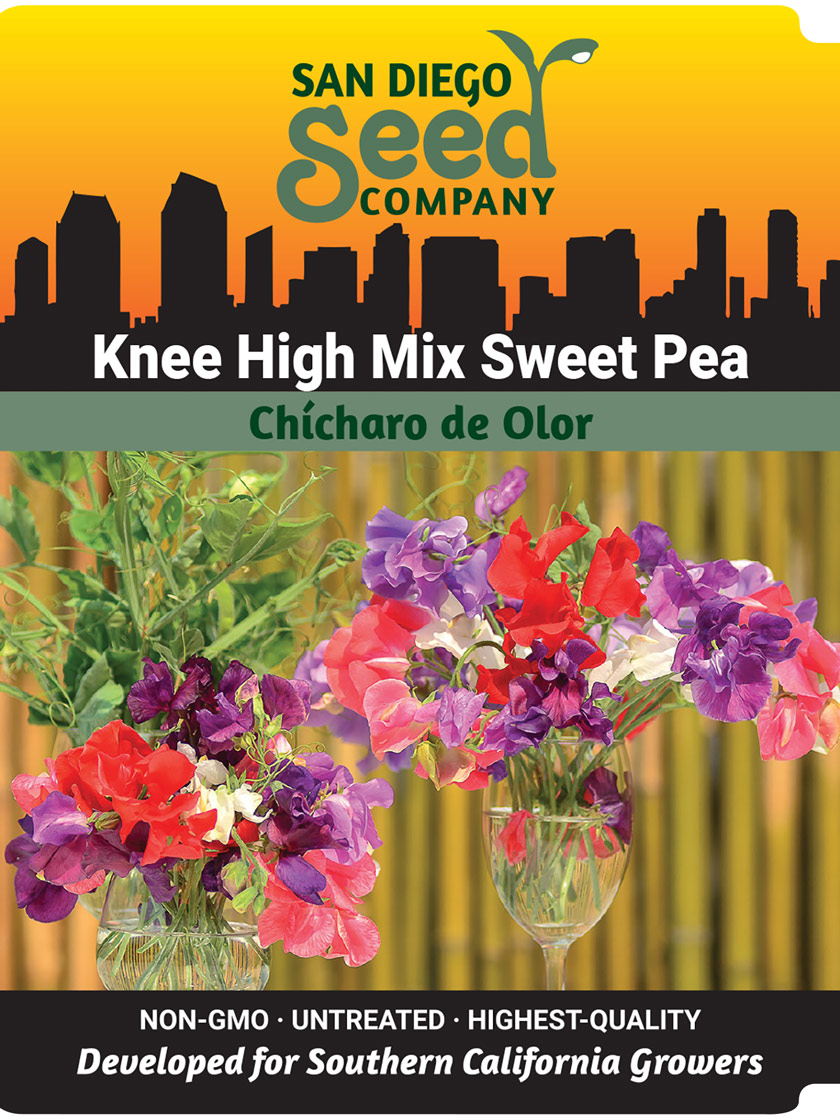Knee High Sweet Pea Mix Seeds